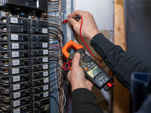 Best Licensed Electrician  in Cottage Grove, MN